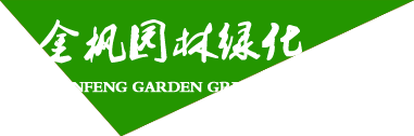 銅陵化工集團(tuán)新橋礦業(yè)有限公司